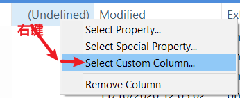 CustomColumn-AddColumn-3