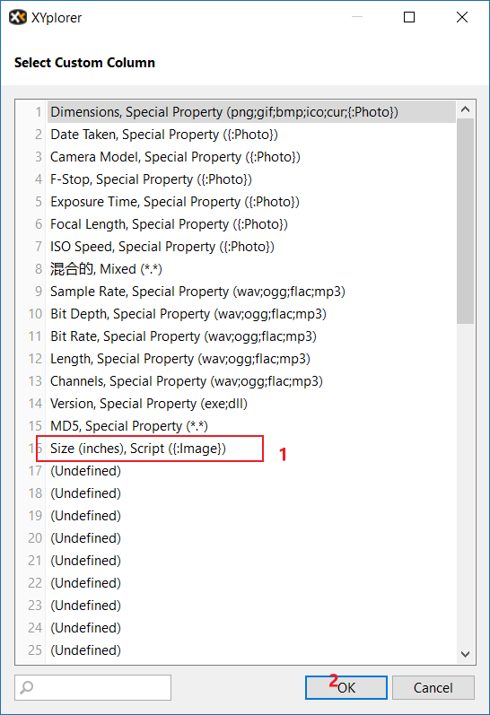 CustomColumn-AddColumn-4
